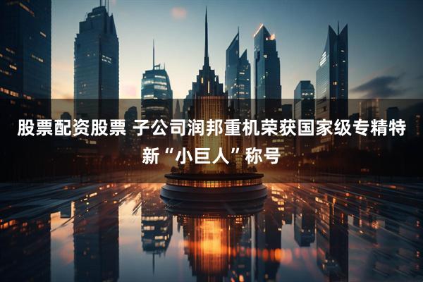 股票配资股票 子公司润邦重机荣获国家级专精特新“小巨人”称号