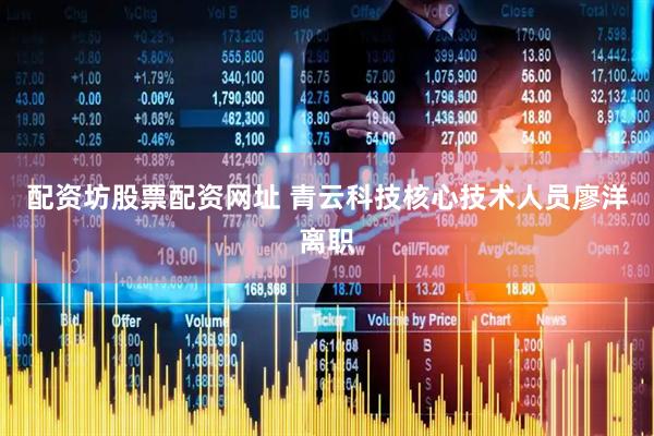 配资坊股票配资网址 青云科技核心技术人员廖洋离职