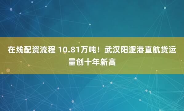 在线配资流程 10.81万吨！武汉阳逻港直航货运量创十年新高