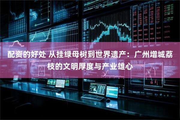配资的好处 从挂绿母树到世界遗产：广州增城荔枝的文明厚度与产业雄心